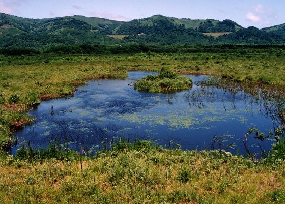 静狩湿原の画像