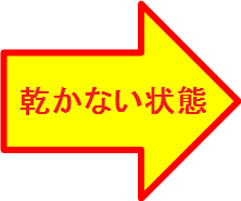 乾かない状態の画像