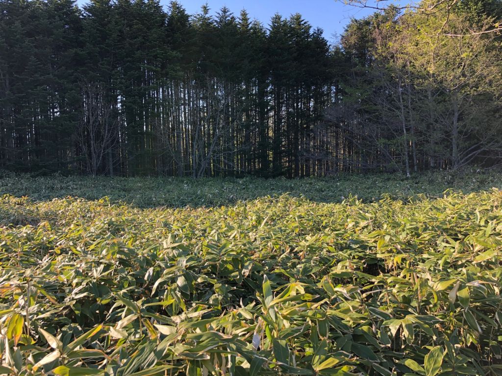 登録番号R02-02の画像2