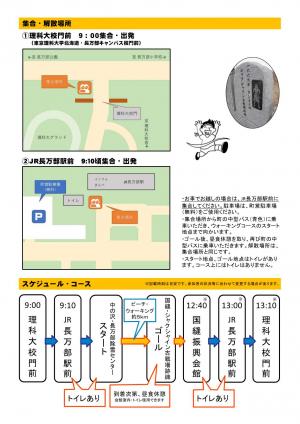 チラシのうら面の画像